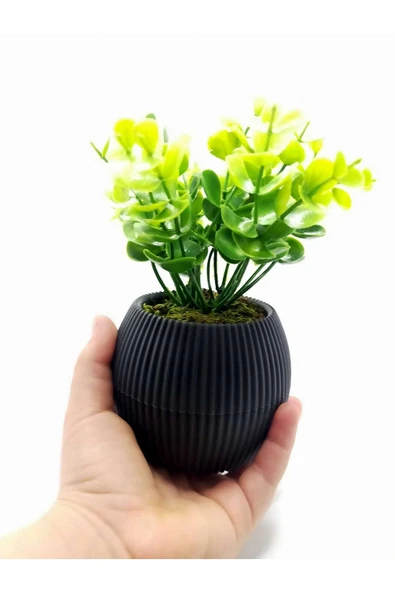 DDTREND Mini Saksıda Yapay Bitki Şimşir Gerçek Taş Yosunlu Toplam 18 Cm Dekoratif Banyo Mutfak Masa Çiçeği