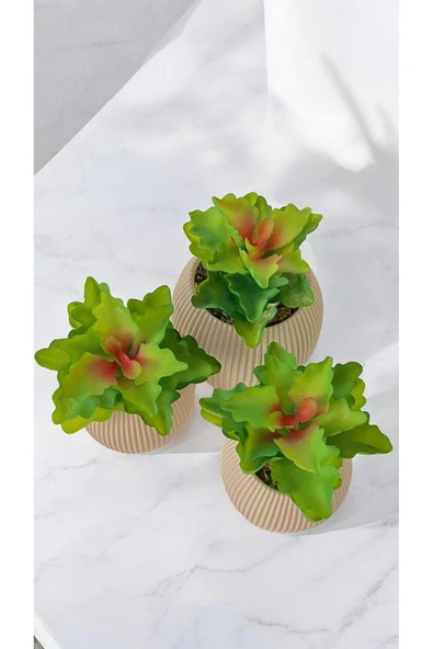 DDTREND Yapay Kaktüs Echeveria Rosea Enrica Sukulent 3'Lü Bej Saksılı Kırmızılı Yeşil Renk 11 cm. - 3