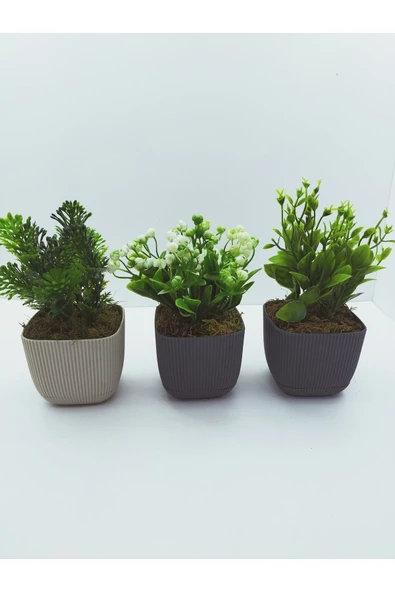 DDTREND 3 LÜ Set Saksıda Yapay Çiçek Bitki , Gerçek Taş Yosunlu DDKS1-02 - Resim 2
