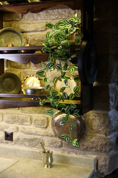 DDPEST DDS-S105 Saksı & Saksılı Bitkiler da Sarkan Yapay Sarmaşık 5 Dal 90 Cm Yapay Çiçek -LM - Resim 3