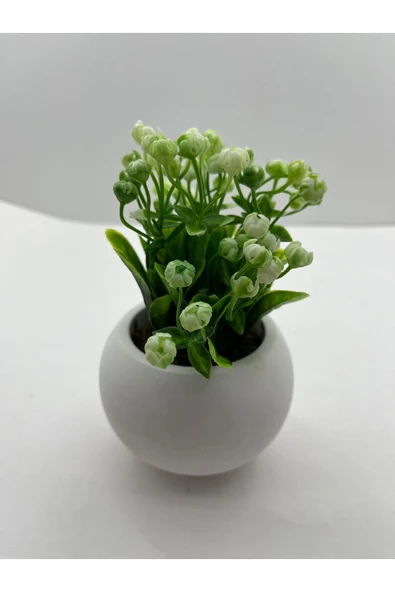 DDPEST Beton Saksıda 3 lü Set Yapay Çiçek Bitki , Gerçek Taş Yosunlu DDBS-01-DS - 6