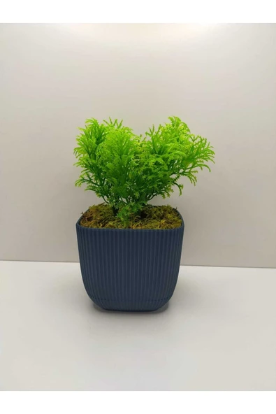 DDTREND Mini Kare Saksıda Çim Yeşili Yapay Çiçek Bitki , Gerçek Taş Yosunlu Banyo Mutfak Masa Çiçeği - 2