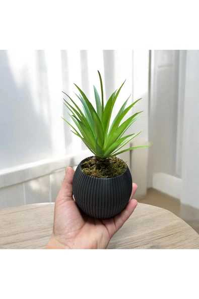 DDTREND Mini Antrasit Saksıda Sukulent Yapay Bitki Gerçek Taş Yosunlu 18 Cm Dekoratif Yapay Kaktüs - 2