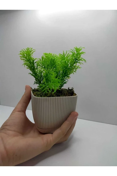 DDPEST Bej Kare Saksı Çim Yeşili Yapay Çiçek Bitki , Gerçek Taş Yosunlu Banyo Mutfak Masa Çiçeği No:1-DS - 2