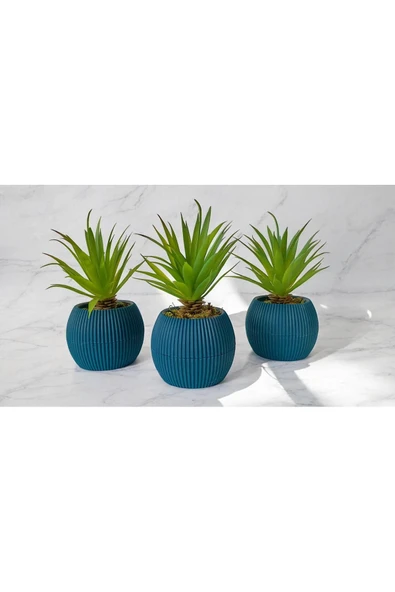 DDTREND Yapay Kaktüs Haworthia Limifolia Sukulent 3'Lü Mavi Saksılı Yeşil Renk 16 cm.