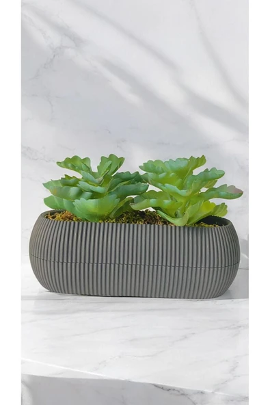 DDTREND Yapay Kaktüs Echeveria Rosea Enrica Sukulent Bej Saksılı Yeşil Renk 11 cm.