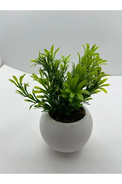 DDPEST Beton Saksıda 3 lü Set Yapay Çiçek Bitki , Gerçek Taş Yosunlu DDBS-01-DS - 4