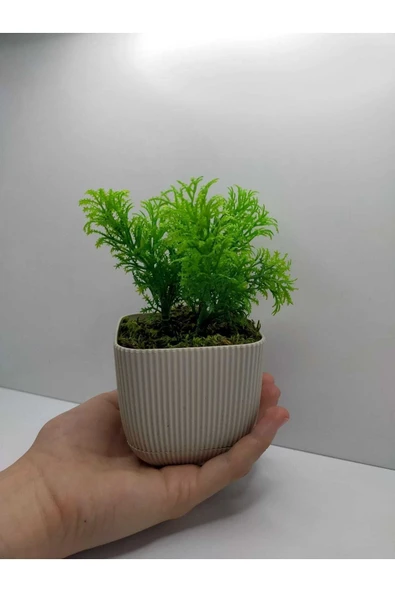 DDPEST Bej Kare Saksı Çim Yeşili Yapay Çiçek Bitki , Gerçek Taş Yosunlu Banyo Mutfak Masa Çiçeği No:1-DS - 3