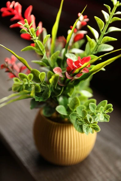 DDTREND DDS-101 Saksıda Yapay Çiçek Aranjman , Taş Yosunlu , Gerçekci Görünüm Yeni Trend - Resim 4