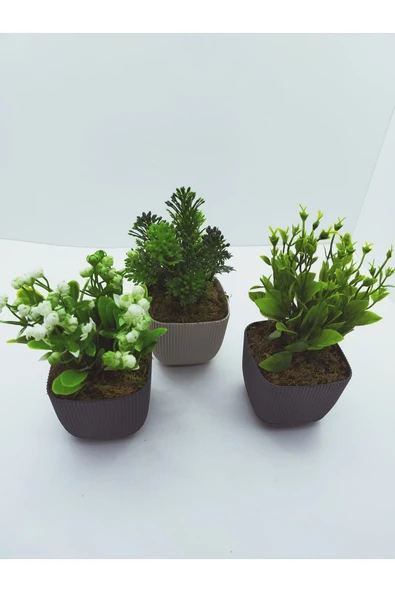 DDTREND 3 LÜ Set Saksıda Yapay Çiçek Bitki , Gerçek Taş Yosunlu DDKS1-02 - Resim 3