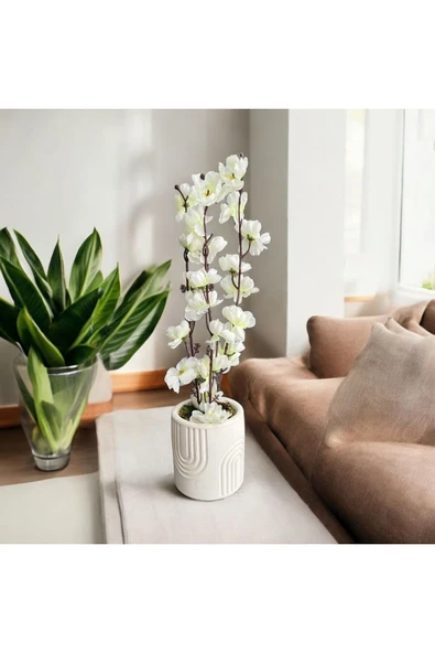 DDTREND Beton Saksıda Gerçek Taş Yosunlu Yapay Japon Kiraz Çiçeği,Saksı ,Aranjman , Ev dekorasyon - 4