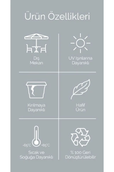 DDTREND 1 Adet 0.15 Litre Mercan No:1 Kaktüs Sukulent Saksı Plastik Saksı 88x68mm -LM - Resim 5