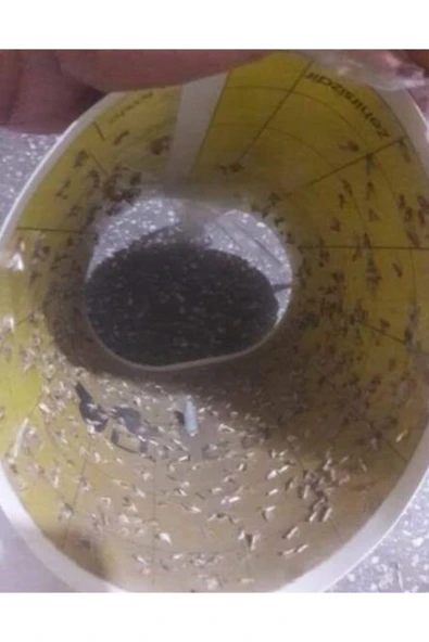 DDPEST Güve Kelebeği Tuzağı Feromonu Ve 3 Adet Yapışkan Plaka Zehirsiz Kesin Çözüm - 3