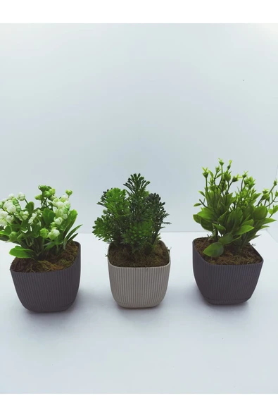 DDTREND 3 LÜ Set Saksıda Yapay Çiçek Bitki , Gerçek Taş Yosunlu DDKS1-02 - Resim 6