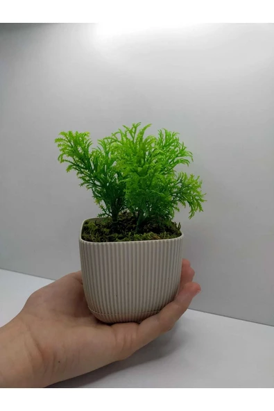 DDTREND Anneler Günü Hediyesi Mini Kare Saksıda Çim Yeşili Yapay Çiçek Bitki , Gerçek Taş Yosunlu - Resim 3