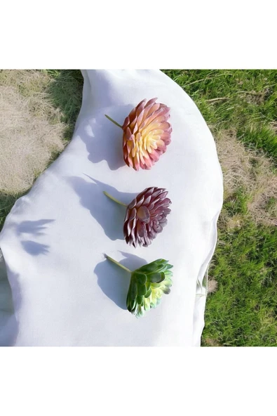 DDTREND Yapay Çiçek Slikon Kaktüs Sukulent Tekli Model No:5 - Resim 5