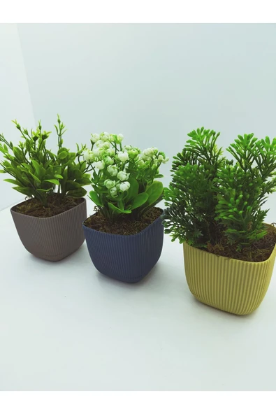 DDTREND Kare Saksıda Yapay Çiçek Bitki , Gerçek Taş Yosunlu 3 LÜ SET - 2