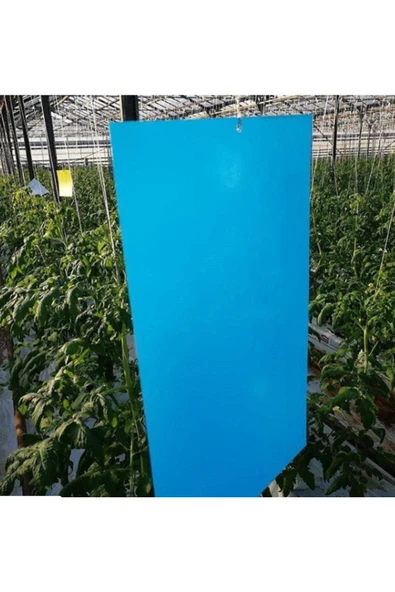 Biogreen Yapışkan Mavi Kart Tuzak 10 Cm X 25 Cm 10 Adet - 3