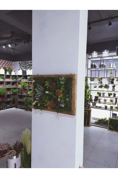 DDTREND Ahşap Çerçeveli Yapay Çİçek Duvar Paneli Şimşir Dikey Bahçe Aranjman 48-68 Cm MODEL:2 - 6