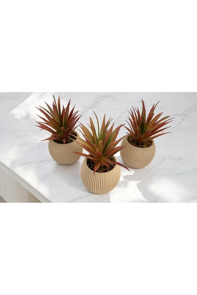 DDTREND Yapay Kaktüs Haworthia Limifolia Sukulent 3'Lü Bej Saksılı Kahverengi Renk 16 cm. - 3