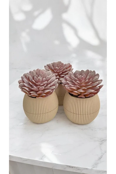 DDTREND Yapay Kaktüs Sempervivum Tomentosum Sukulent 3'Lü Bej Saksılı Mor Renk 11 cm. - Resim 4
