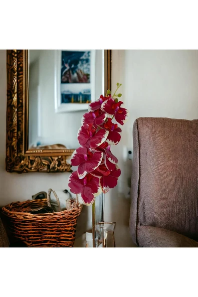 DDTREND Yapay Orkide 85 Cm Bordo Beyaz , Bakım Gerektirmeyen Gerçek Görünümlü Orkide