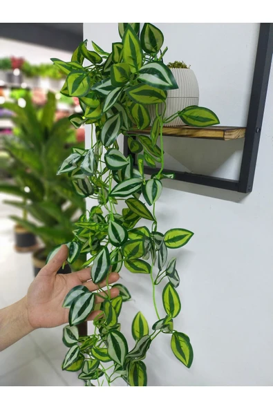 DDTREND Ahşap Çerçeve Raflı Saksıda Sarkan Yeşil Beyaz Zebrina Yapraklı 5 Dal Sarmaşık Yapay Çiçek - 5