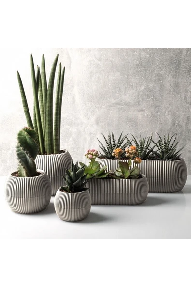 DDPEST Dekoratif Bej 5 Parça Mercan Saksı Seti Kaktüs Ve Sukulent Bitki Saksısı-ls ürün görseli