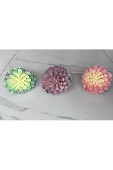 DDTREND Yapay Çiçek Slikon Kaktüs Sukulent Tekli Model No:5 - Resim 4