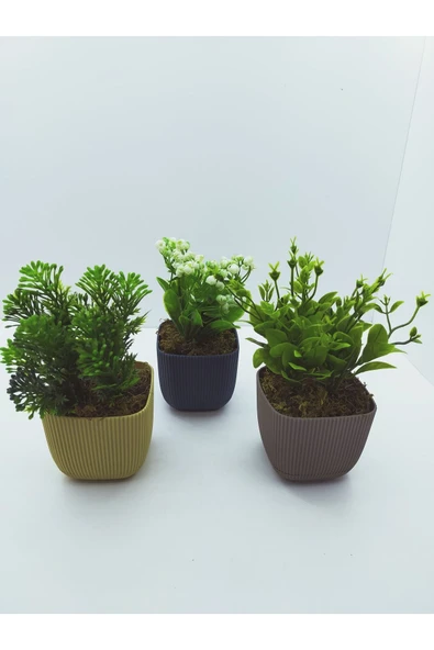 DDTREND Kare Saksıda Yapay Çiçek Bitki , Gerçek Taş Yosunlu 3 LÜ SET - 6