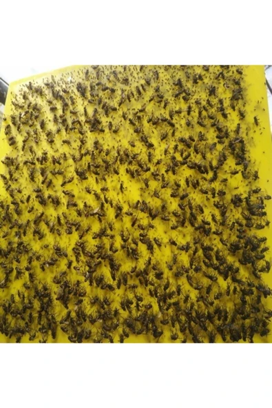 DDPEST 10 Adet Sinek Tutucu Öldürücü Yapışkan Plaka, Levha 30*60 Cm ( Efk Cihazlarında Kullanılabilir ) - 2