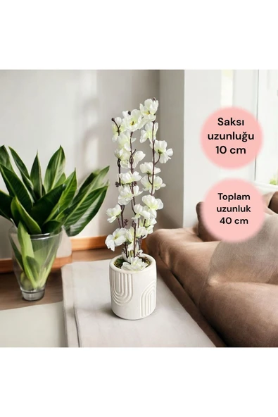 DDTREND Beton Saksıda Gerçek Taş Yosunlu Yapay Japon Kiraz Çiçeği,Saksı ,Aranjman , Ev dekorasyon