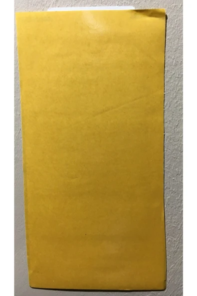 DDTREND Fare Yapışkanı Yapışkan Böcek Ve Fare Tuzağı Fındık Kokulu 10 Adet