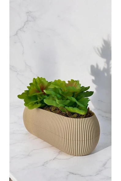 DDTREND Yapay Kaktüs Echeveria Rosea Enrica Sukulent BEJ Saksılı Yeşil Renk 11 cm. - Resim 3