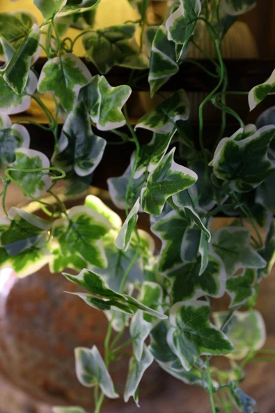 DDPEST DDS-S100 Saksıda Sarkan Yapay Sarmaşık 5 Dal 90 Cm Yapay Çiçek-DS - 3