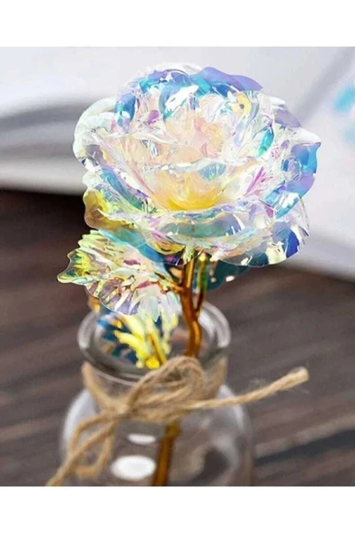 DDTREND Sonsuzluk Gülü Rengarenk Hologramlı Sevgililer Günü Anneler Günü Hediyesi 24 Cm 1 ADET