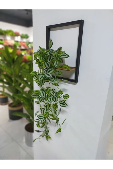 DDTREND Ahşap Çerçeve Raflı Saksıda Sarkan Yeşil Beyaz Zebrina Yapraklı 5 Dal Sarmaşık Yapay Çiçek - 2