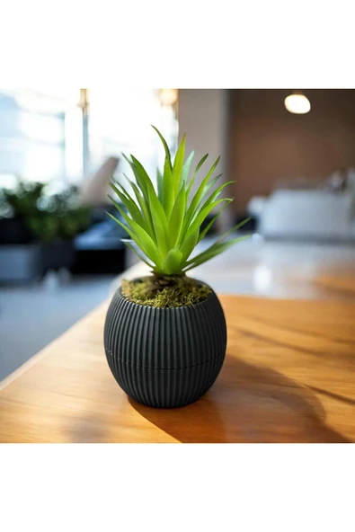 DDTREND Mini Antrasit Saksıda Sukulent Yapay Bitki Gerçek Taş Yosunlu 18 Cm Dekoratif Yapay Kaktüs