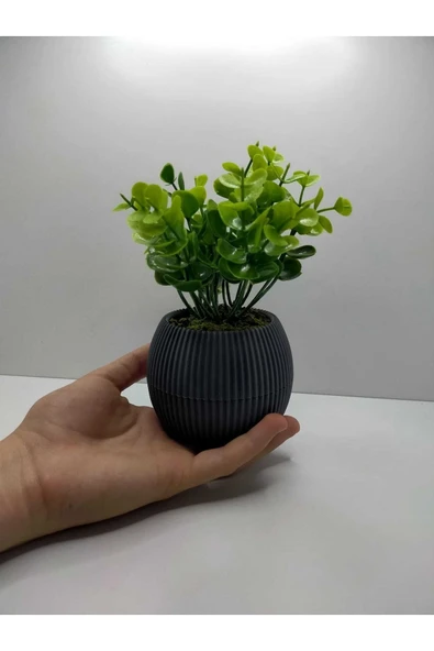 DDTREND Mini Saksıda Yapay Bitki Şimşir Gerçek Taş Yosunlu Toplam 18 Cm Dekoratif Banyo Mutfak Masa Çiçeği - Resim 5