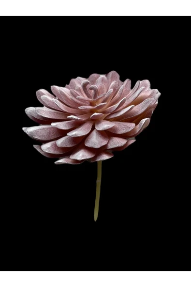 DDTREND Yapay Çiçek Slikon Kaktüs Sukulent Tekli Model No:5 - Resim 6