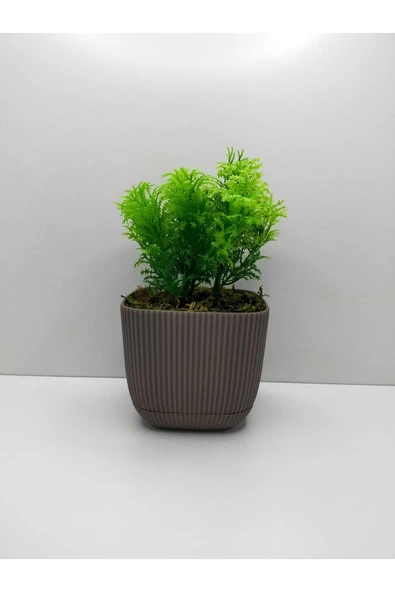 DDTREND Mini Kare Saksıda Çim Yeşili Yapay Çiçek Bitki , Gerçek Taş Yosunlu Banyo Mutfak Masa Çiçeği - 2