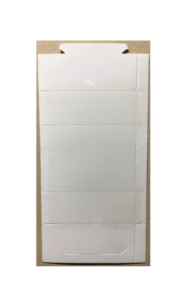 DDTREND Fare Yapışkanı Yapışkan Böcek Ve Fare Tuzağı Fındık Kokulu 10 Adet - 4