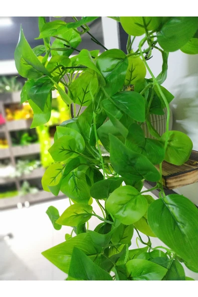 DDTREND Ahşap Çerçeve Raflı Saksıda Sarkan Kalp Yapraklı 5 Dal Sarmaşık Yapay Çiçek - Resim 2