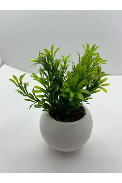 DDTREND Beton Saksıda 3 lü Set Yapay Çiçek Bitki , Gerçek Taş Yosunlu DDBS-01 - Resim 4
