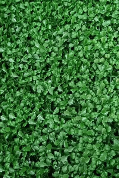 DDTREND 10 Adet Yapay Bitki Duvar Kaplama Panel Şimşir Tabaka 40x60 Cm Yeşil Dikey Bahçe - 3