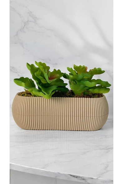 DDTREND Yapay Kaktüs Echeveria Rosea Enrica Sukulent BEJ Saksılı Yeşil Renk 11 cm. - Resim 2