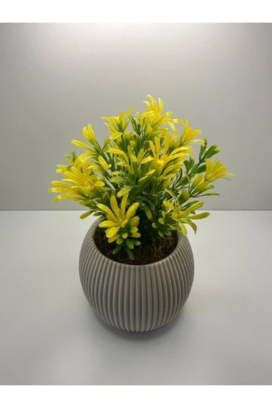 DDPEST Bej Saksı Sarı Afrika Zambağı Yapay Bitki Gerçek Taş Yosunlu 18 Cm Dekoratif Masa Çiçeği No:1-DS - Resim 3