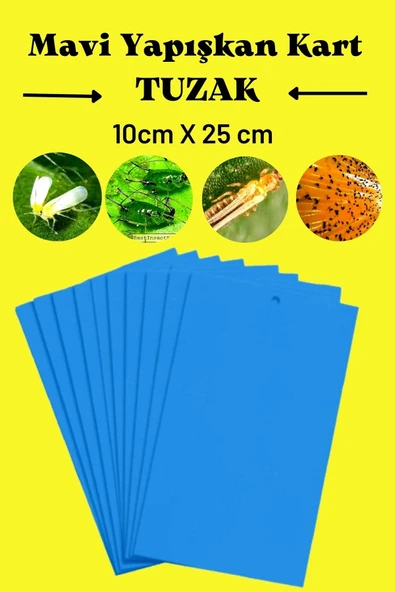 Biogreen Yapışkan Mavi Kart Tuzak 10 Cm X 25 Cm 10 Adet - 2