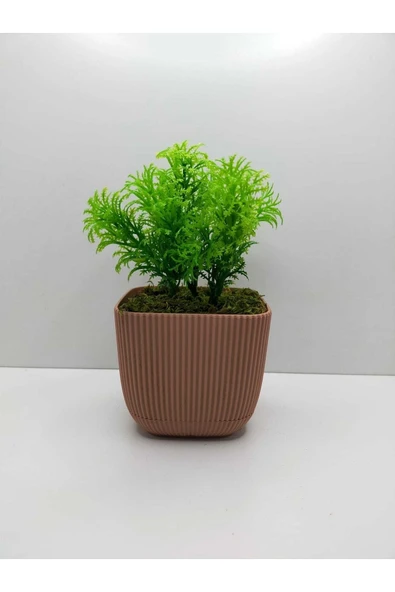DDTREND Mini Kare Saksıda Çim Yeşili Yapay Çiçek Bitki , Gerçek Taş Yosunlu Banyo Mutfak Masa Çiçeği