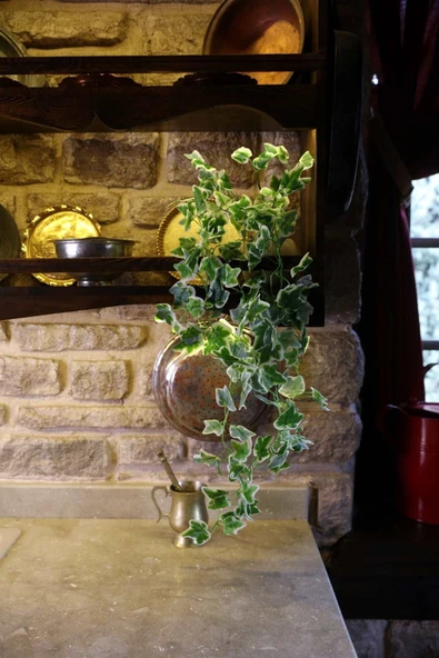 DDPEST DDS-S100 Saksıda Sarkan Yapay Sarmaşık 5 Dal 90 Cm Yapay Çiçek-DS - 4